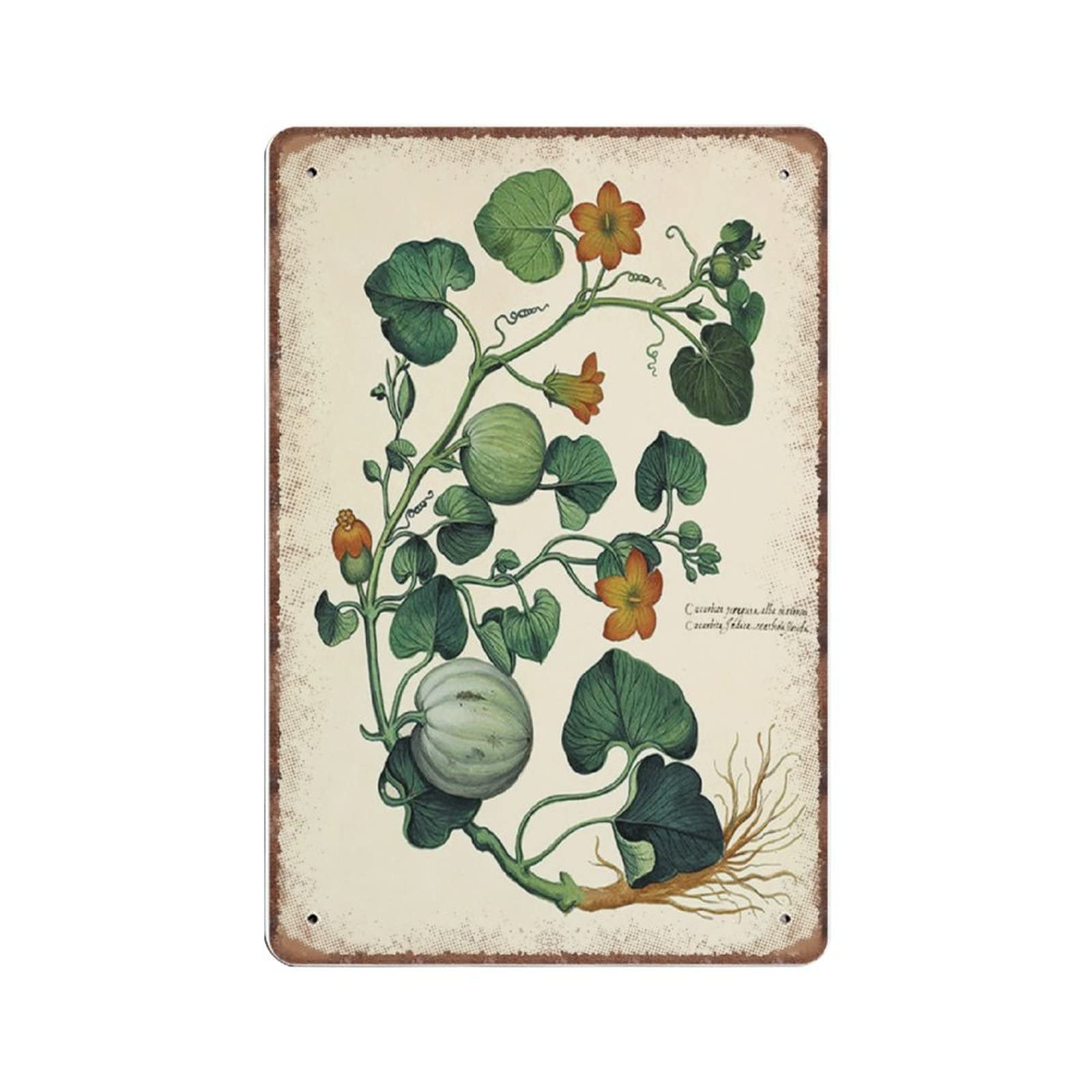 rayprint Funny Vintage Sign Vegetable Antique Botanical Wall Art Metal Tin Signs for Kitchen Garden Garage Bathroom Wall Decor 8 X 12 INCH