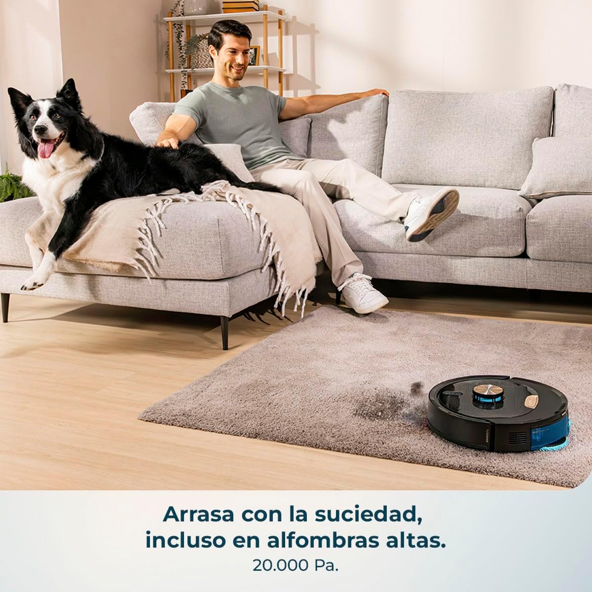 Cecotec robot vacuum cleaning a carpet with a dog nearby