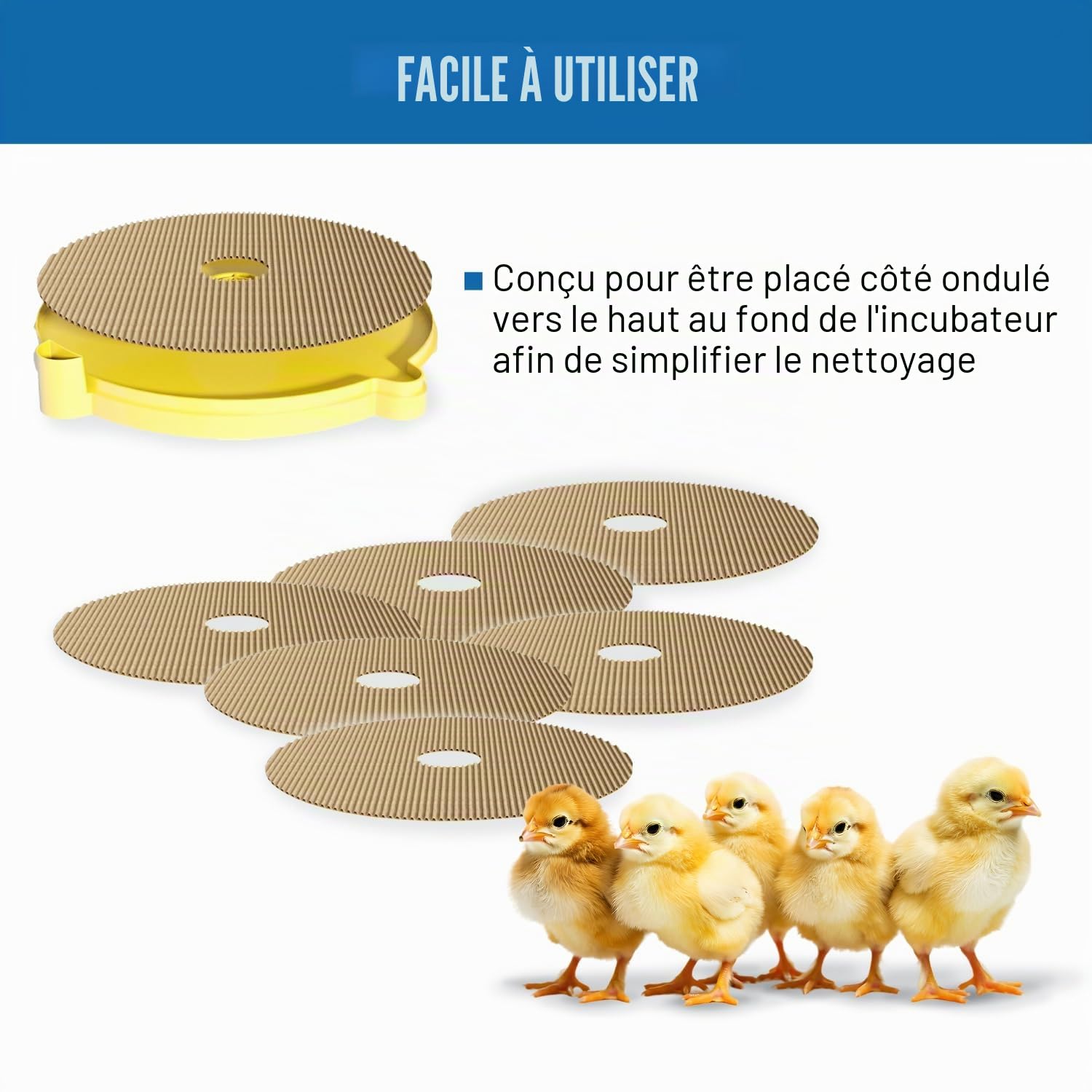 Brinsea Produits Maxi II Incubateurs à œufs Tapis d'éclosion Taille Unique