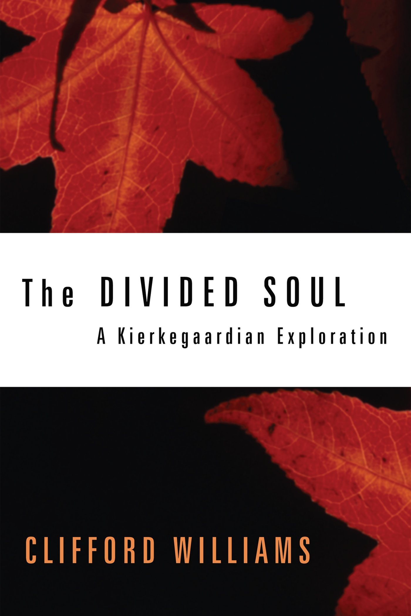 The Divided Soul: A Kierkegaardian Exploration