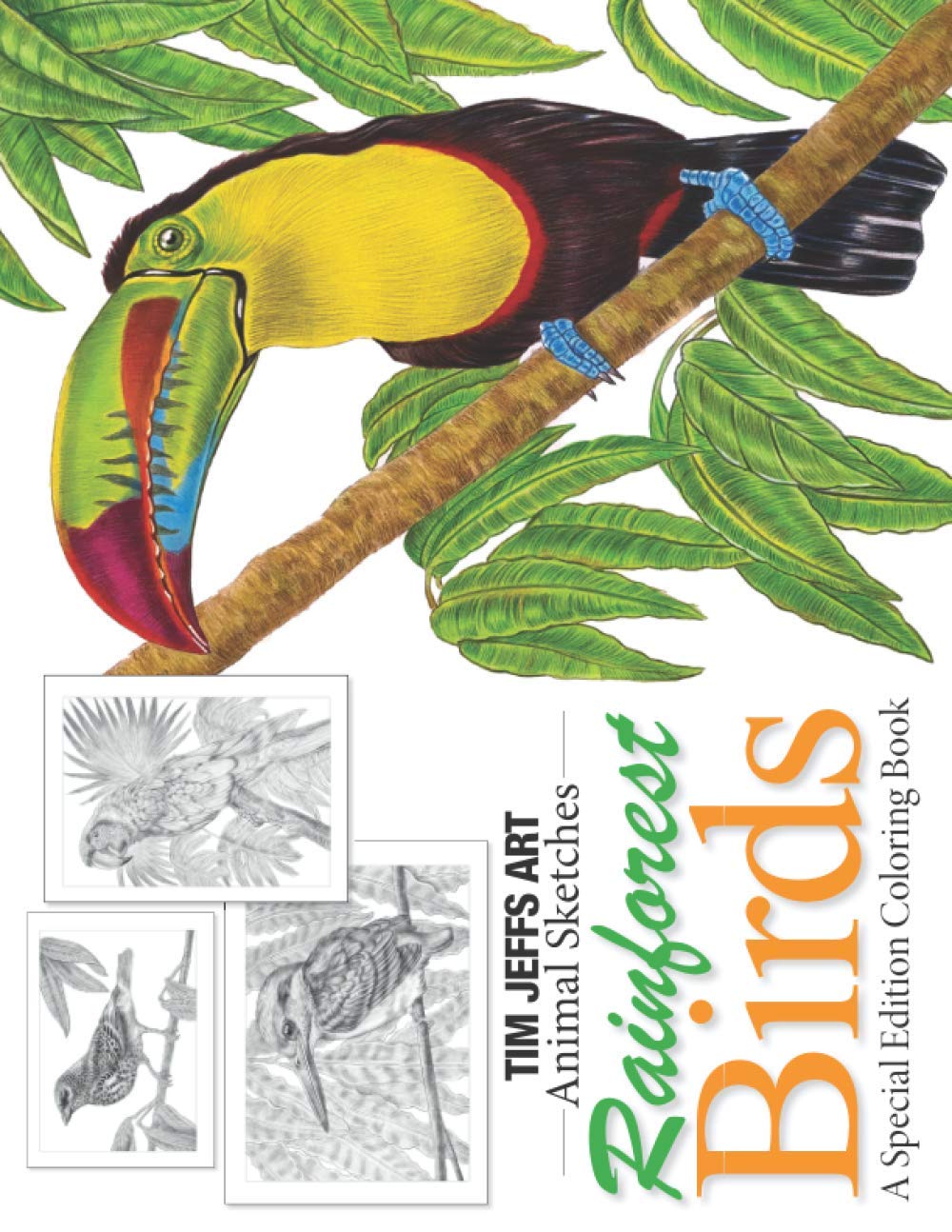 Rainforest Birds: A Special Edition Coloring Book (Animal Sketches)