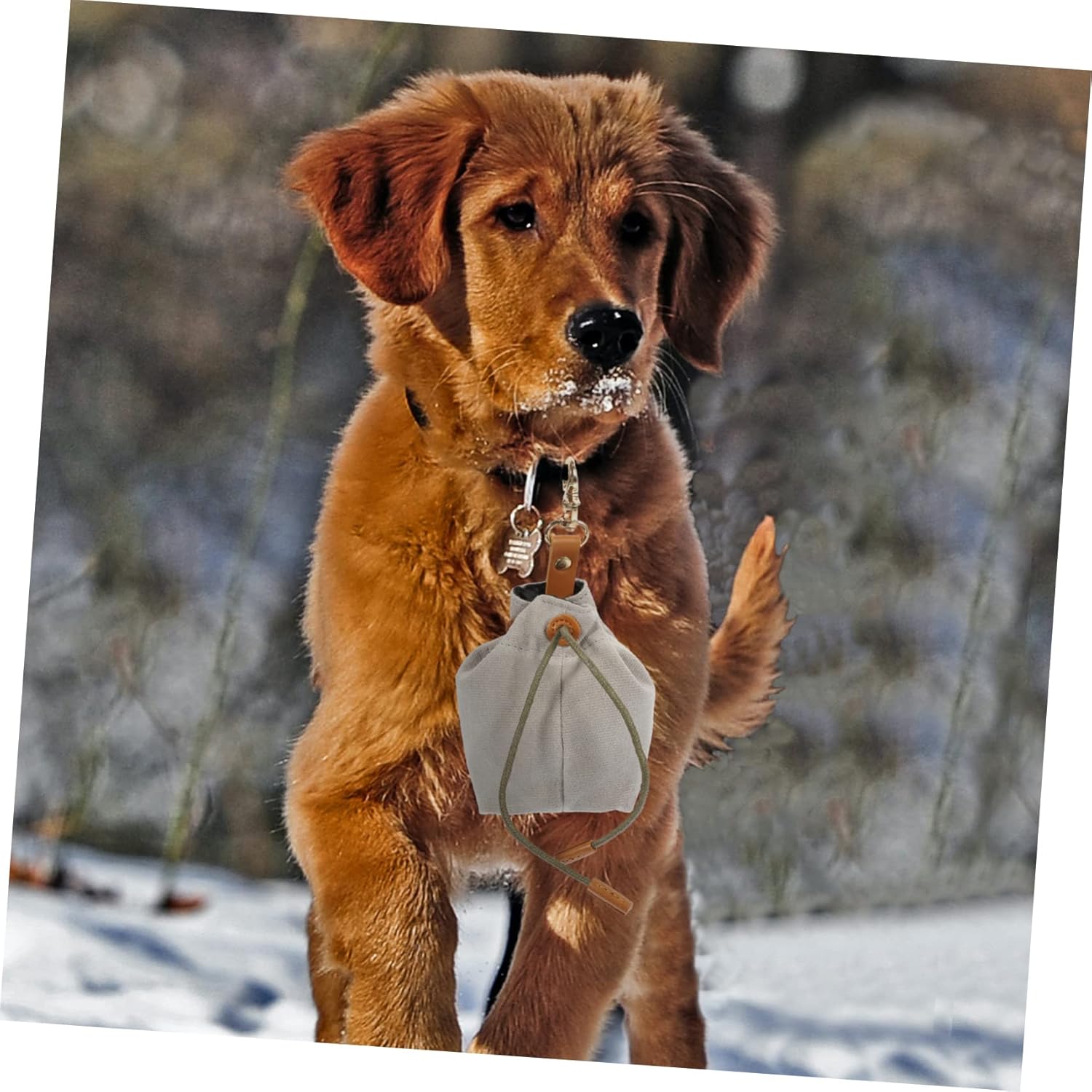 FRCOLOR 5pcs Portable Dog Treat Pouch Canvas Snack Bag with Multiple Storage for Training Outdoor Use Keeps Treats Dry and Accessible and Playtime