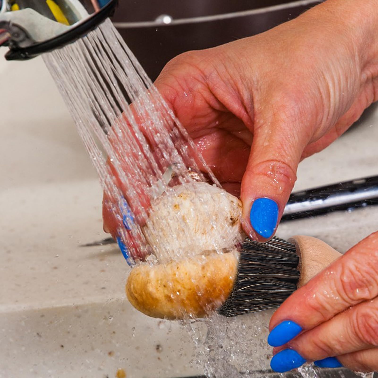 1 PC Cepillo de champiñones de Madera para Limpiar Hongos y Verduras,Cocina de Setas,Fregar Platos de Cocina para Utensilios,Cepillo de Limpieza Sostenible