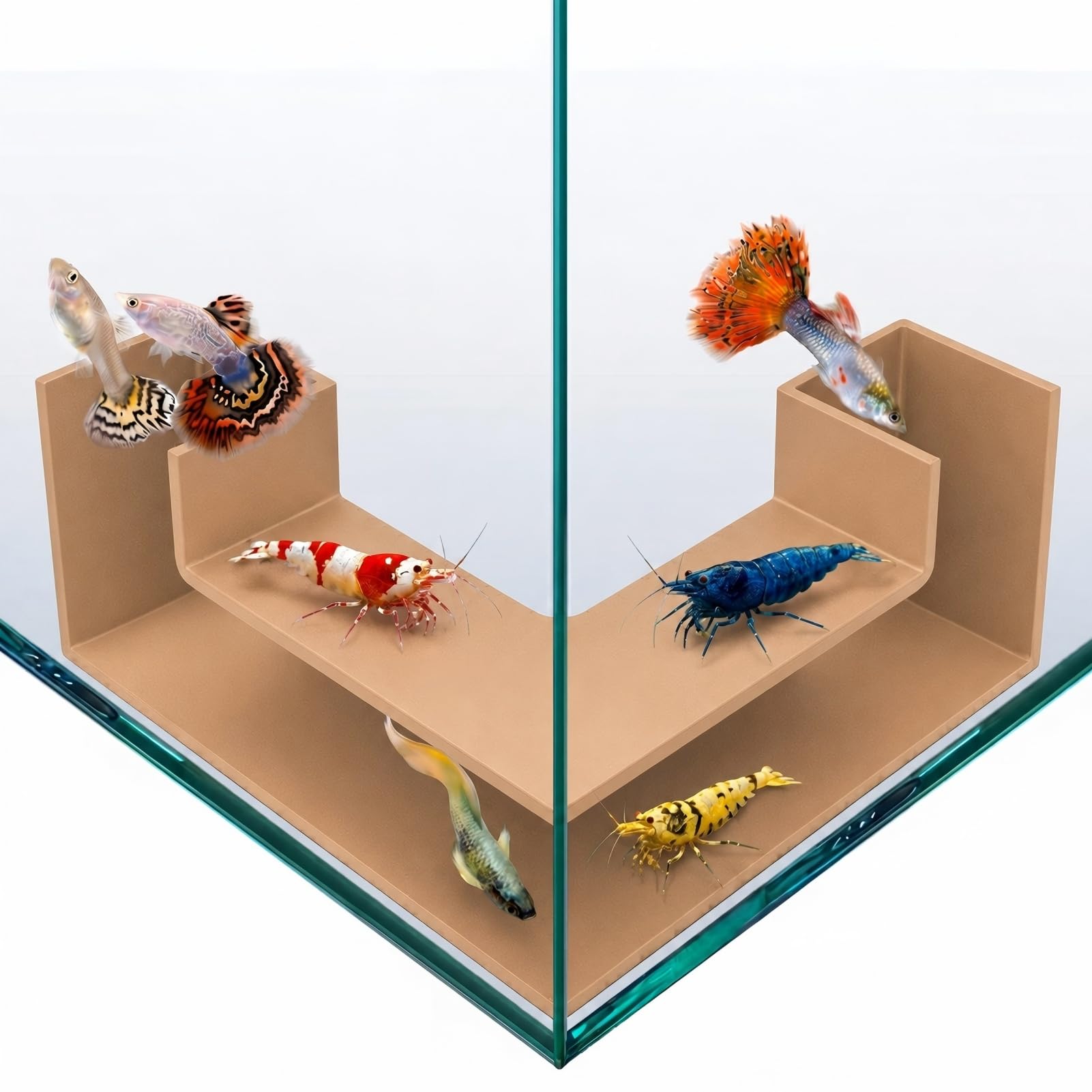 Fish Tank Tunnel Aquarium Hardscape, Shrimp Hide Aquarium Tunnel, Shrimp Tank Aquarium Decor Fish Tank Cave, Fish Tank Decorations Hideout, Fish Hideout for Aquarium, Fish Tank Accessories Decorations