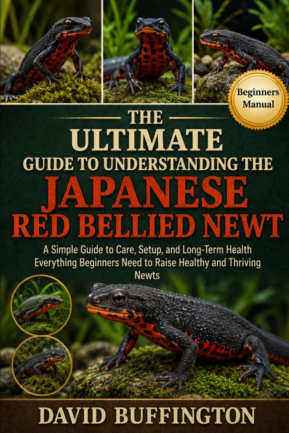 THE ESSENTIAL GUIDE TO UNDERSTANDING THE JAPANESE RED BELLIED NEWT: A Simple Guide to Care, Setup, and Long-Term Health Everything Beginners Need to Raise Healthy and Thriving Newts