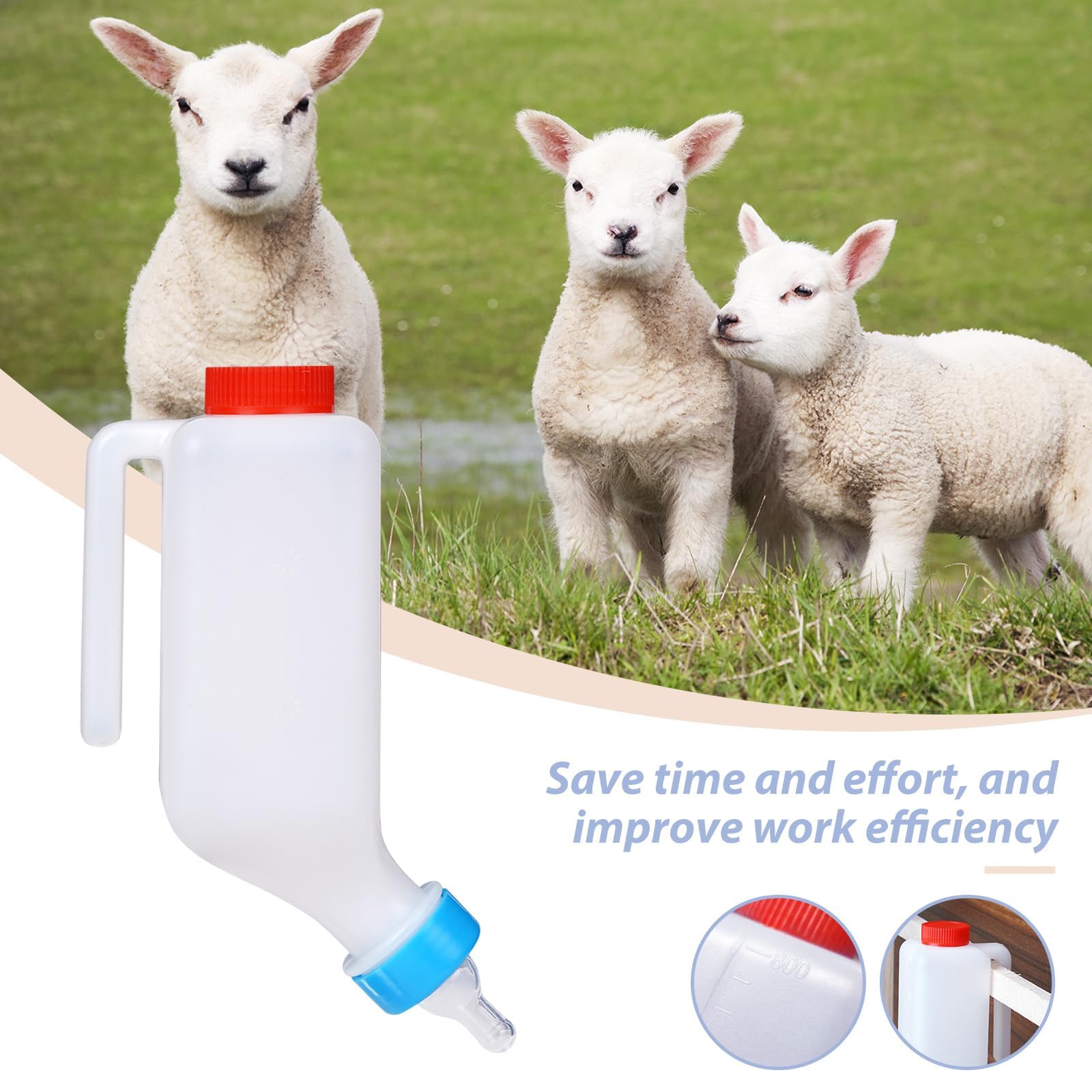 3 Packs Biberon d'agneau & Chèvre 1L - Seau à Lait en Bouteille pour Allaitement d'Agneaux & Bébé Chèvre - Système de Boisson Suspendue - Biberon Chevreaux 1000ML (3 Pieces - 1L) - 4