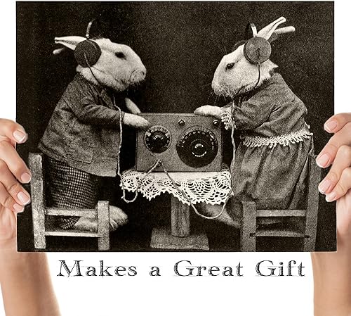 Miniatura 3 de Bizarre Strange Bunnies escuchando radio con auriculares, impresión sin marco de 11 x 14 pulgadas, decoración perfecta de estudio o regalo para los