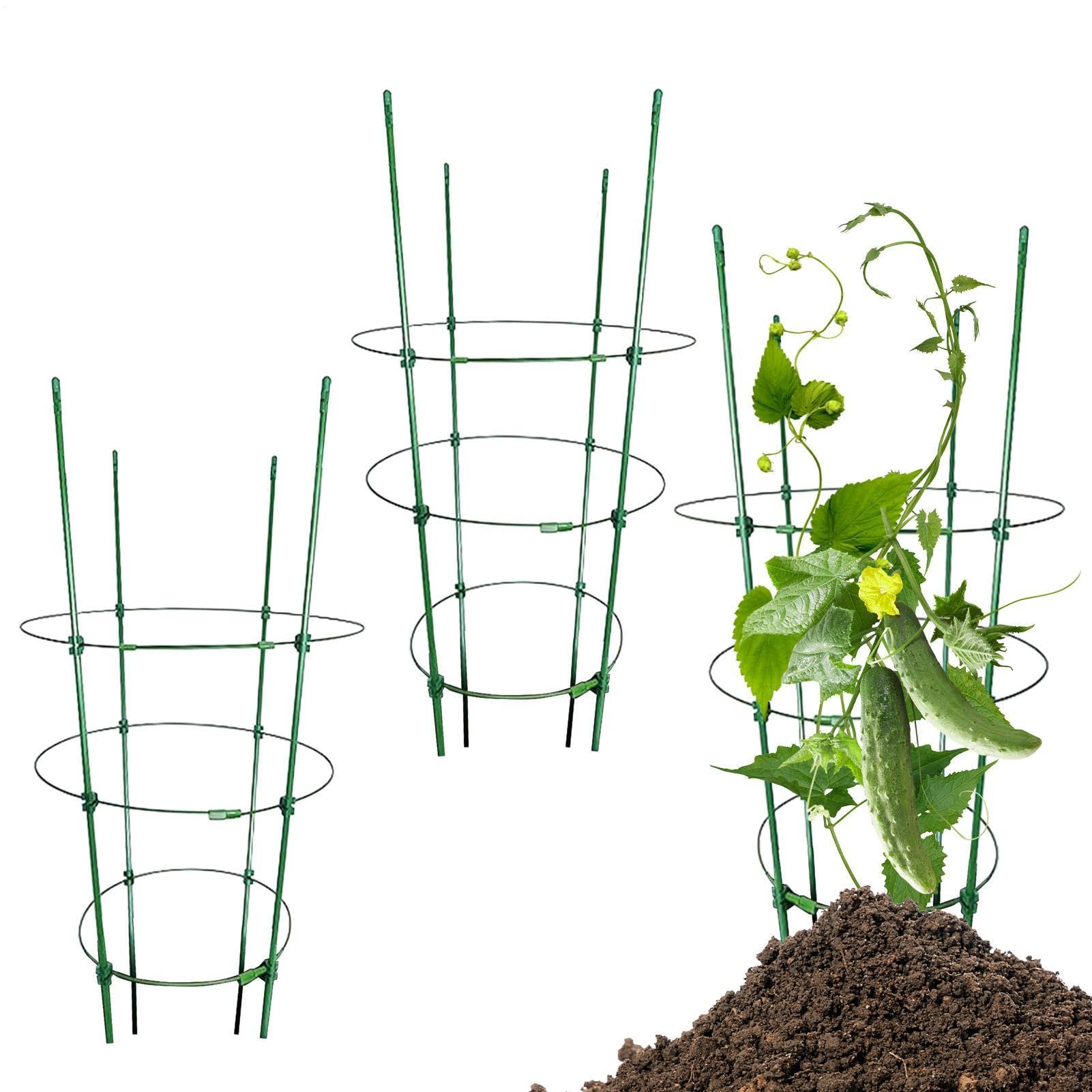Reflimand 3PCS Tomato Support Cages, Tall Tomato Support Frame, Tomatoes Plant Cage for Pots Trellis Stakes Supports, Heavy Duty Plant Cages Stakes, Garden Trellis for Flowers Fruits Vegetables Vines