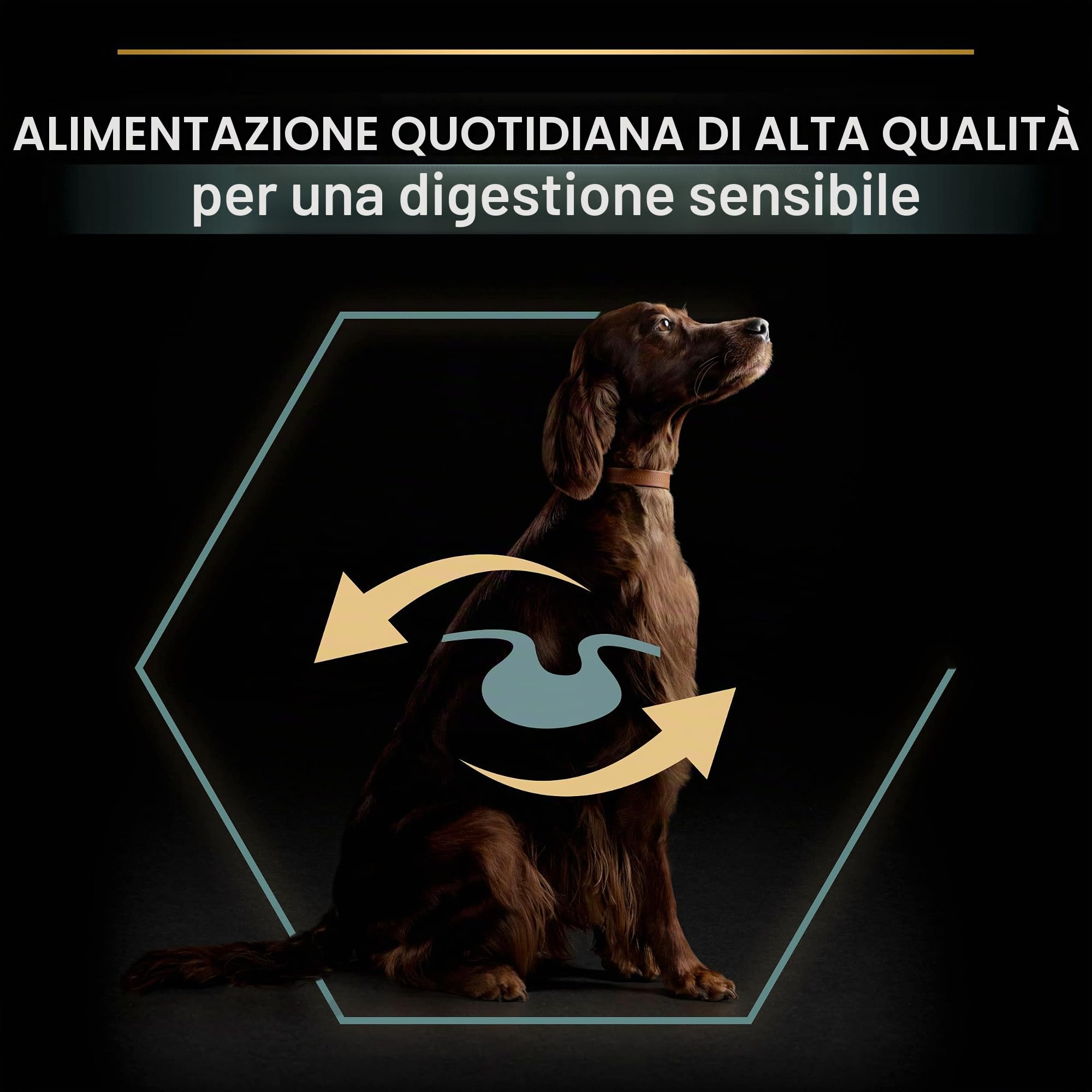 Purina Pro Plan Optidigest Large Athletic Adult Crocchette Cane 14 kg