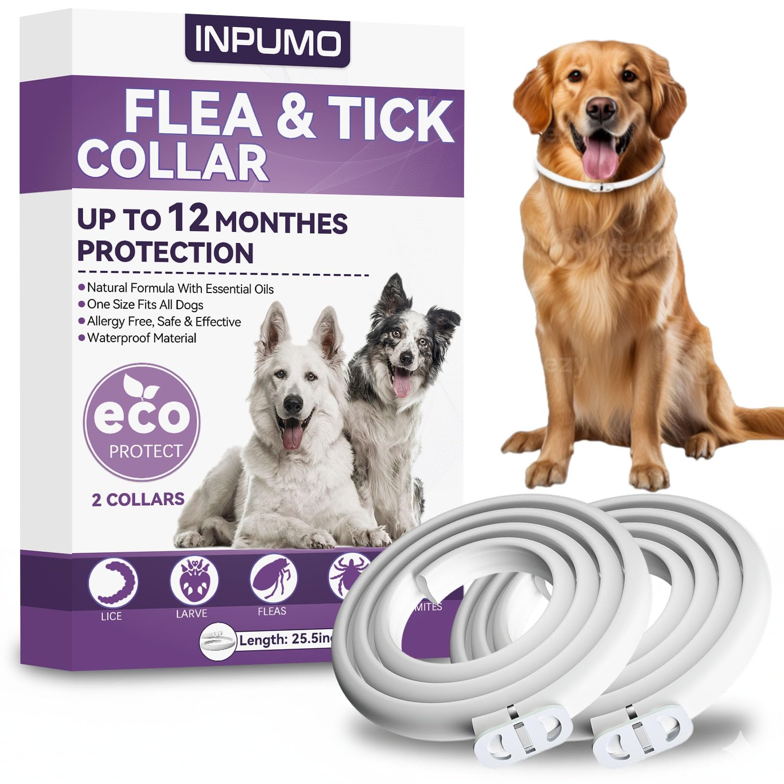 Anti-parasitic Collar for Dogs, Natural Protection 12 Months, Waterproof and Adjustable Flea Collar for Small, Medium and Large Dogs (2PCS)