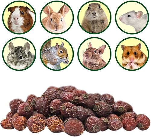 Exotic Nutrition Dried Rose HIPS (3 oz.) - Healthy Natural Treat - Chinchillas, Guinea Pigs, Rabbits, Prairie Dogs, Degus, Hamsters, Rats, Squirrels, Parrots, Chickens, Ducks & Other Small Pets(3 Ounce (Pack of 1))