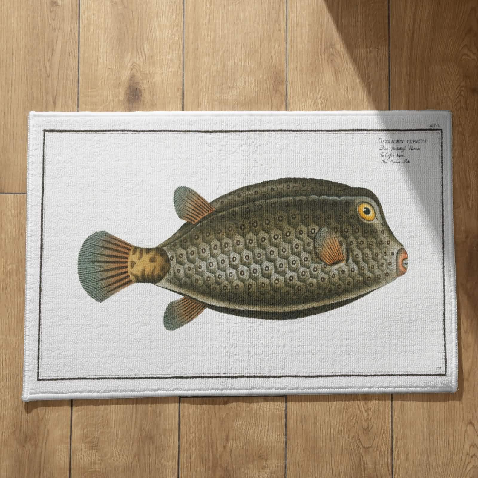 Tapis de sol camping et paillasson manga CEVAN pour van et tente