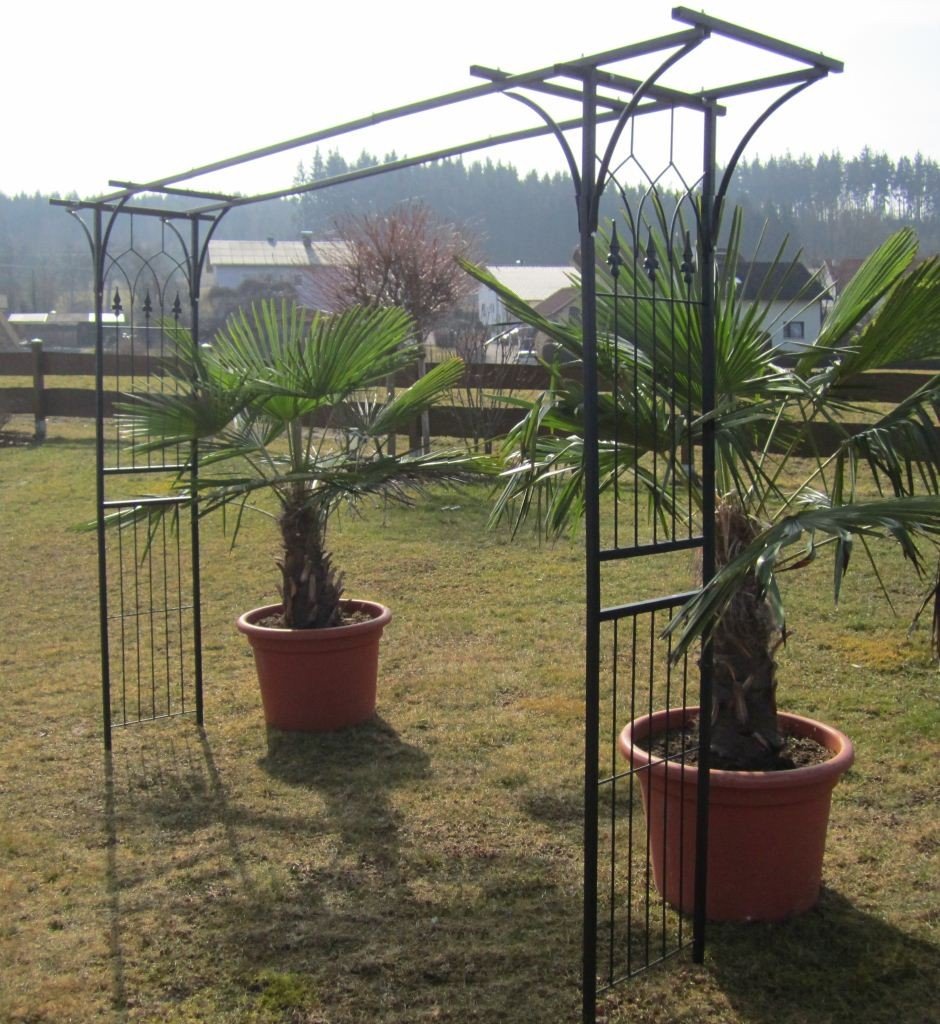 ALEOS. Eleganter XXL Rosenbogen Rankhilfe Pergola aus Metall schwarz Modell 5040