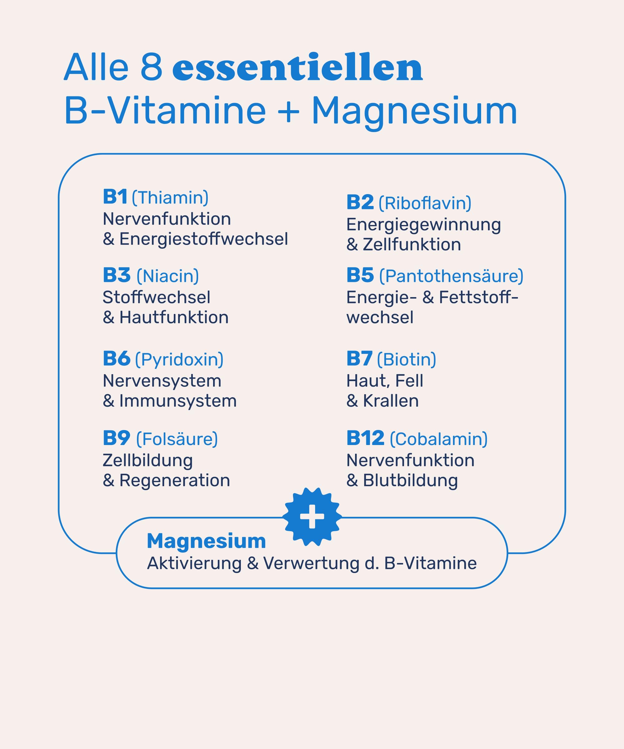 mammaly 4er BESTPREIS-Paket: Vitamin B Complete + Magnesium (bis 480 Tage) | mit 480 Tabletten (hochkonzentriert) für Stress, Haut & Fell - mit B12, Biotin - DLG zertifiziert - mit Tierärzten entwickelt