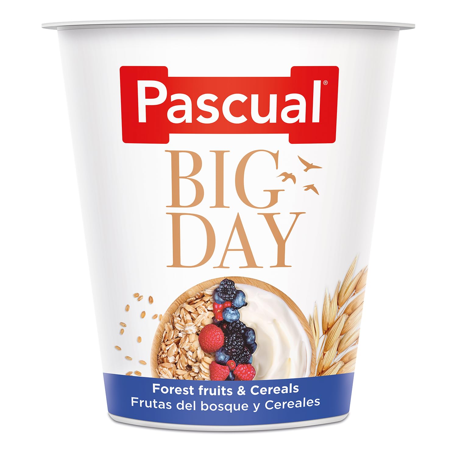 Pascual Yogur BIG DAY con frutos del bosque y cereales Pack 6x4x120g 24 uds.