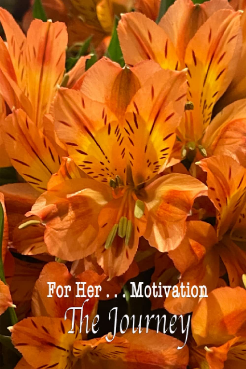 For Her. . . Motivation “The Journey”: Tiger Lily