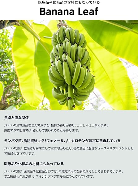 DAYOFF マスクストラップカバー リーフ柄 デザイン ダイビングマスク シュノーケリングマスク に - 5