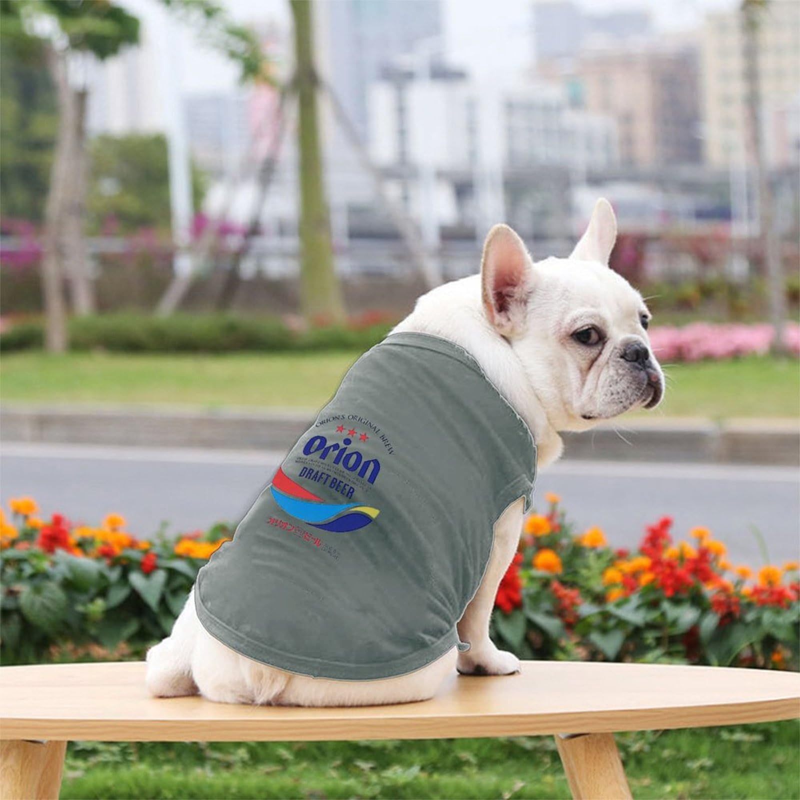 Amazon | 犬の服 タンクトップTシャツ ベスト スポーツ服 洋服