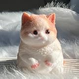 Taba Squishy Cat, Big Handmade Cat Taba Squishy, Cute Soft Stress Relief Toys for Kids & Adults, Funny Gift Squeeze for Cat Lovers(Medium-B)
