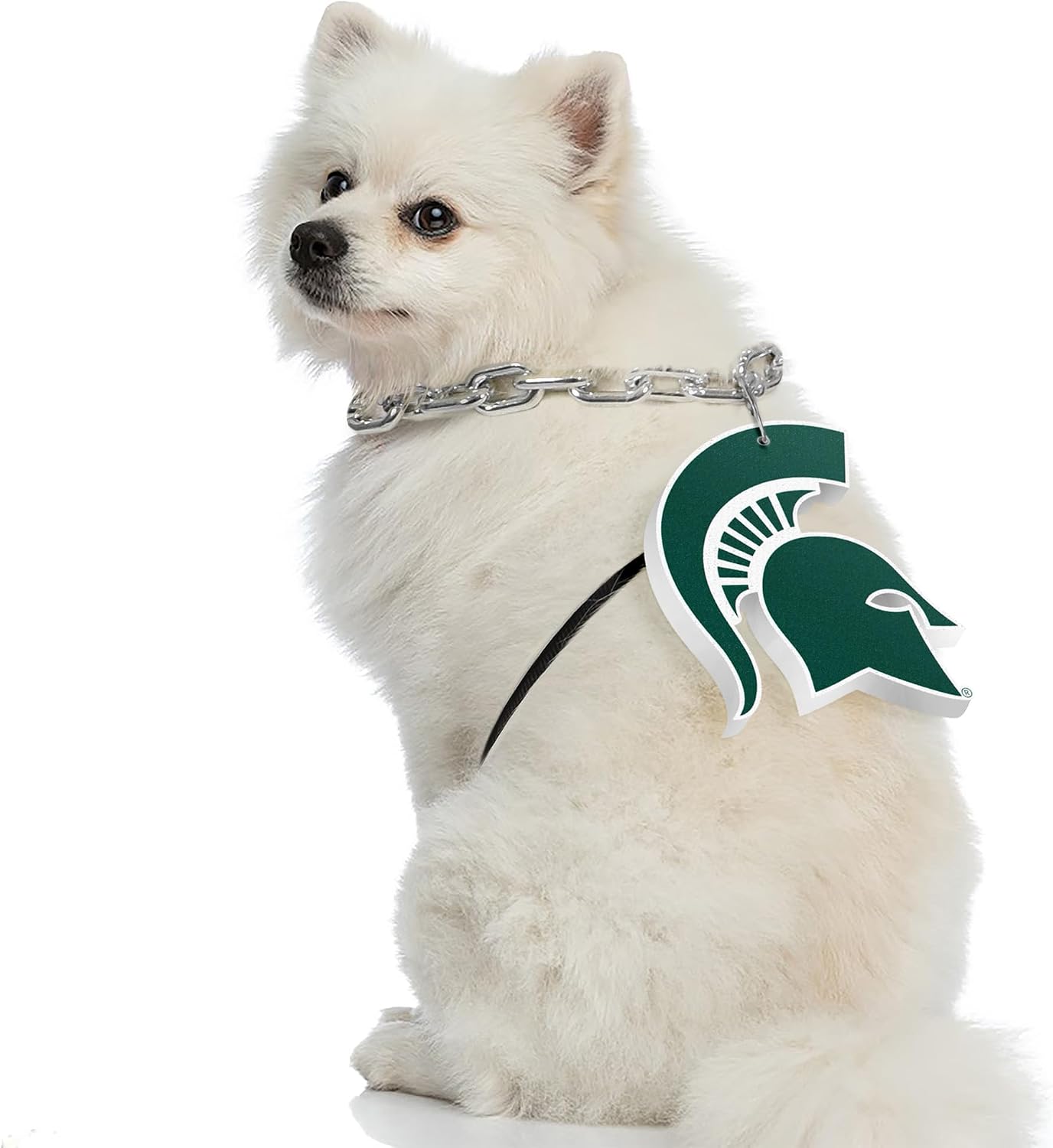 Littlearth NCAA Pet Fan Chain