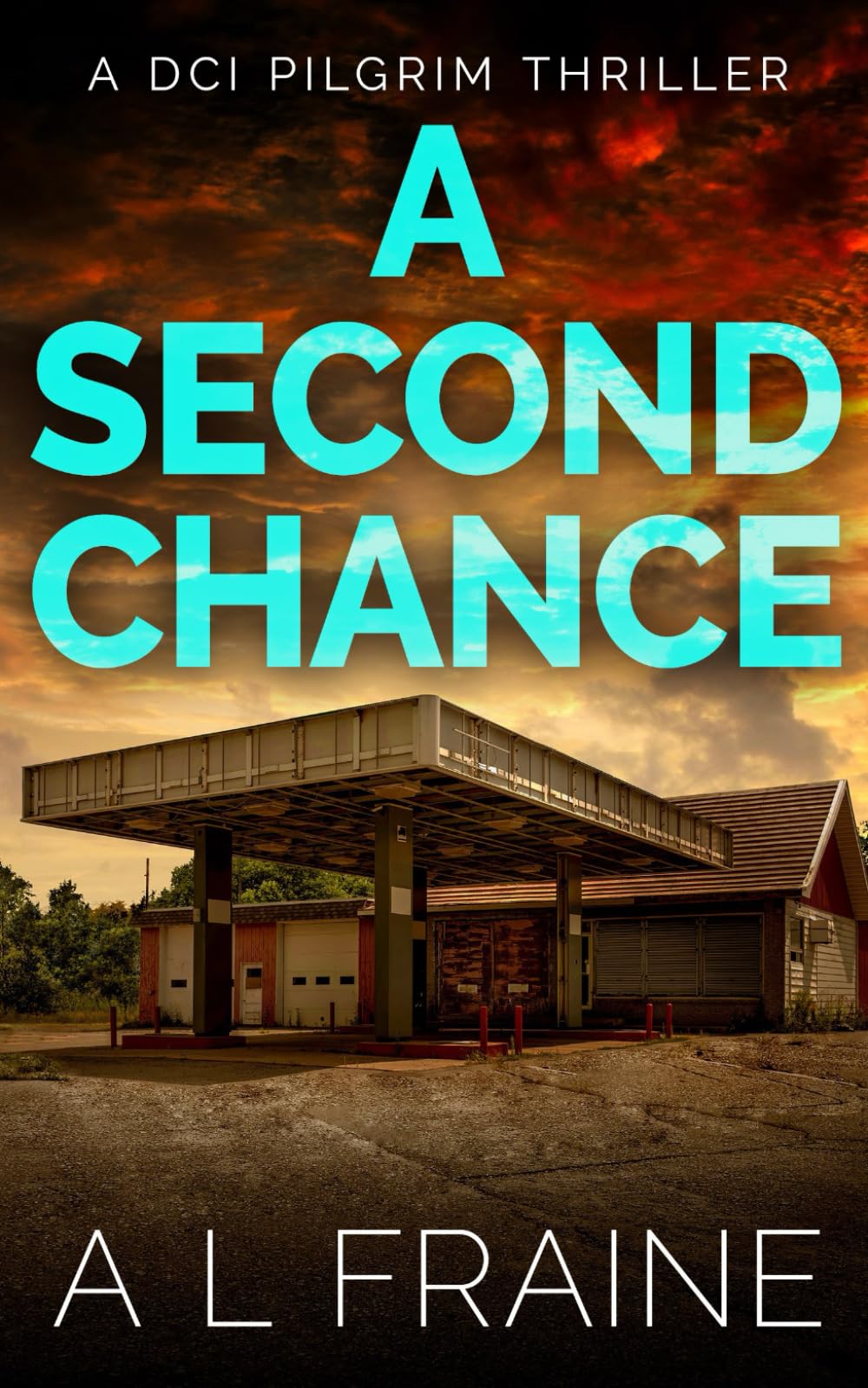 A Second Chance: A British Crime Thriller (A DCI Pilgrim Thriller)
