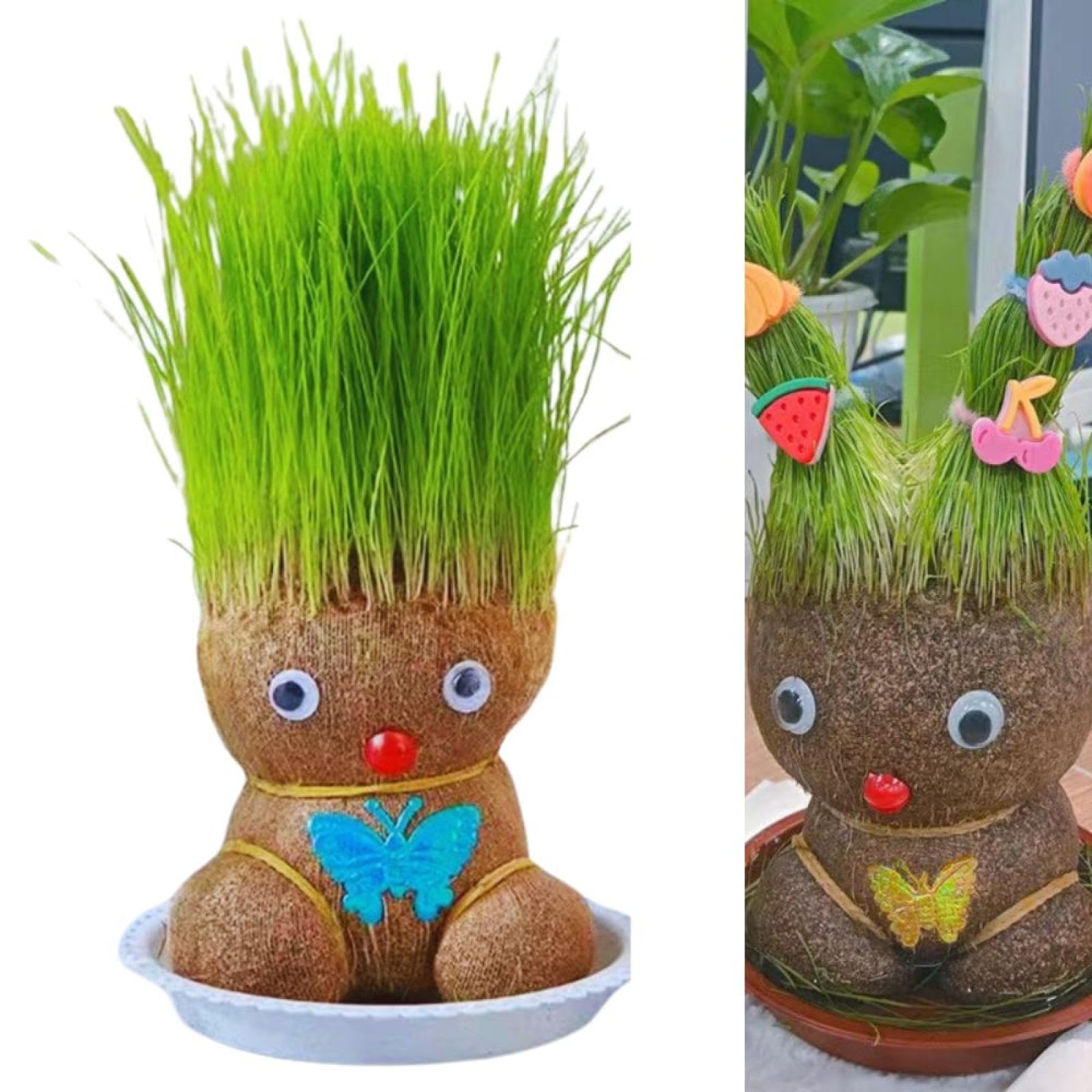 Amazon｜2個 草の頭の人形の植物、成長する草の頭の人形 ミニ盆栽草頭