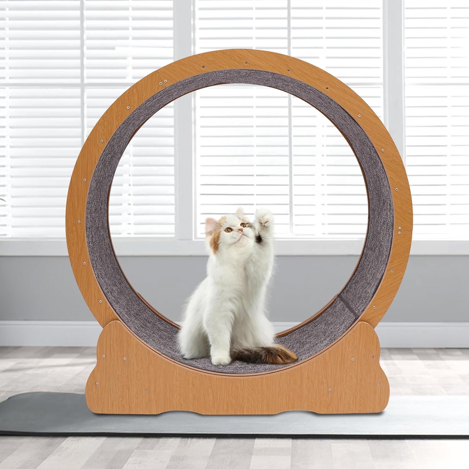 XL Cat Exercise Wheel for Indoor Cats, Green Cat Running Wheel, Spinning Play Toy for Bigger Cats with Detachable Carpet for Weight Loss and Health-Original Wood Color