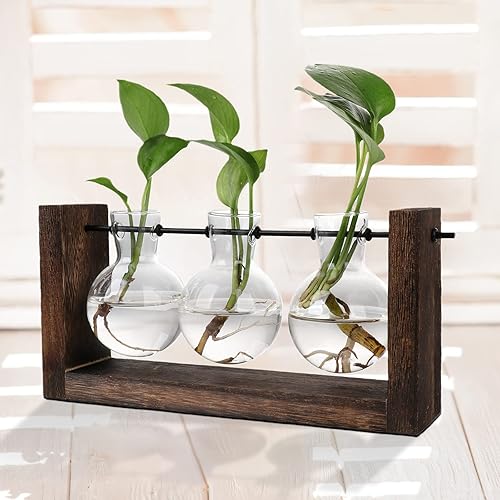 Miniatura 2 de BFYDOAA Jardinera de vidrio de escritorio, jarrón hidropónico, terrario de plantas con soporte de madera, maceta de tubo de ensayo de vidrio para