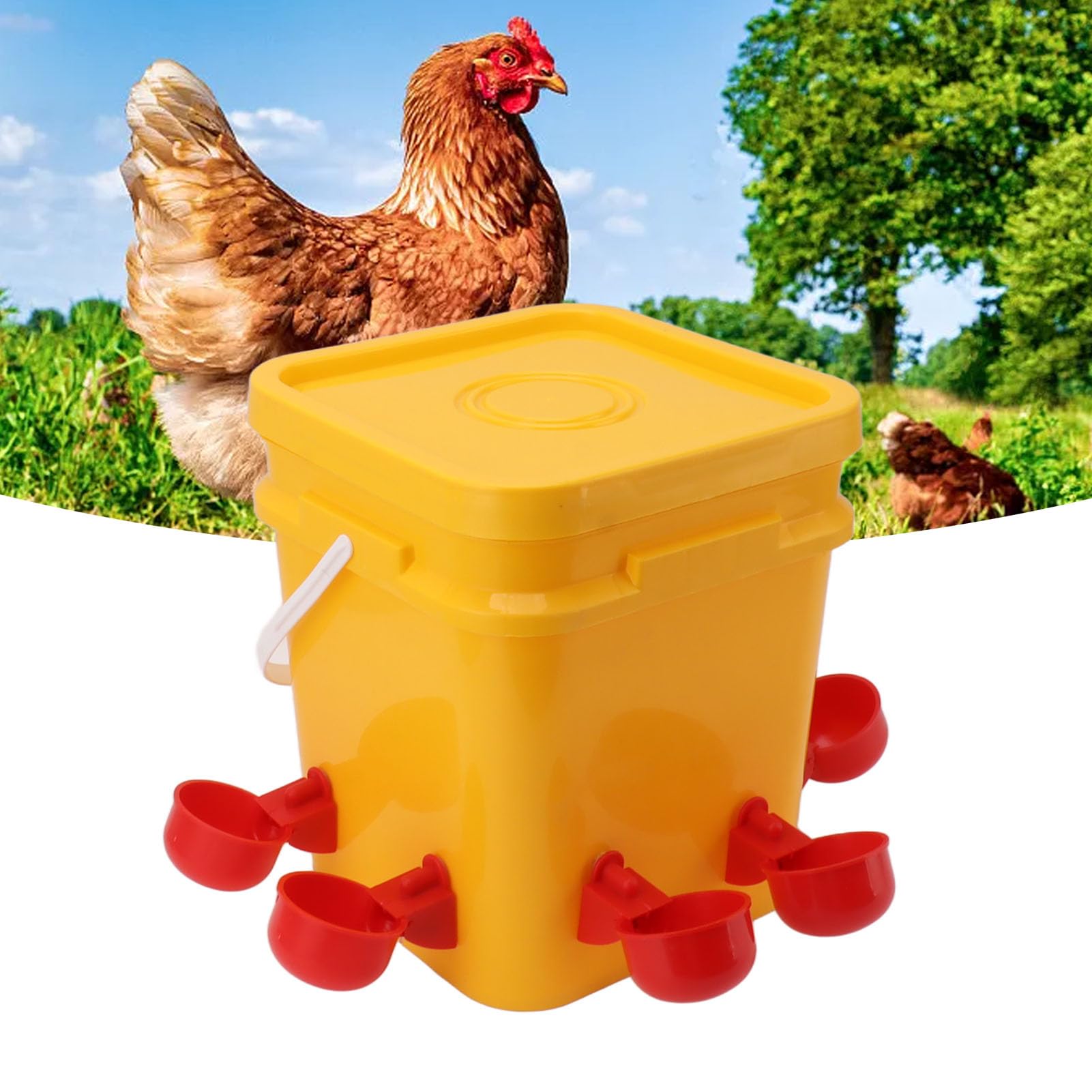 Bebedero automático para Pollos, Bebedero automático para Pollos, comedero con Cubo de Mano de 12 litros, Equipo para Beber Aves de Corral para Pato Ganso (Cubo+Nuevo Cuenco Red Bird+Tornillo Negro)