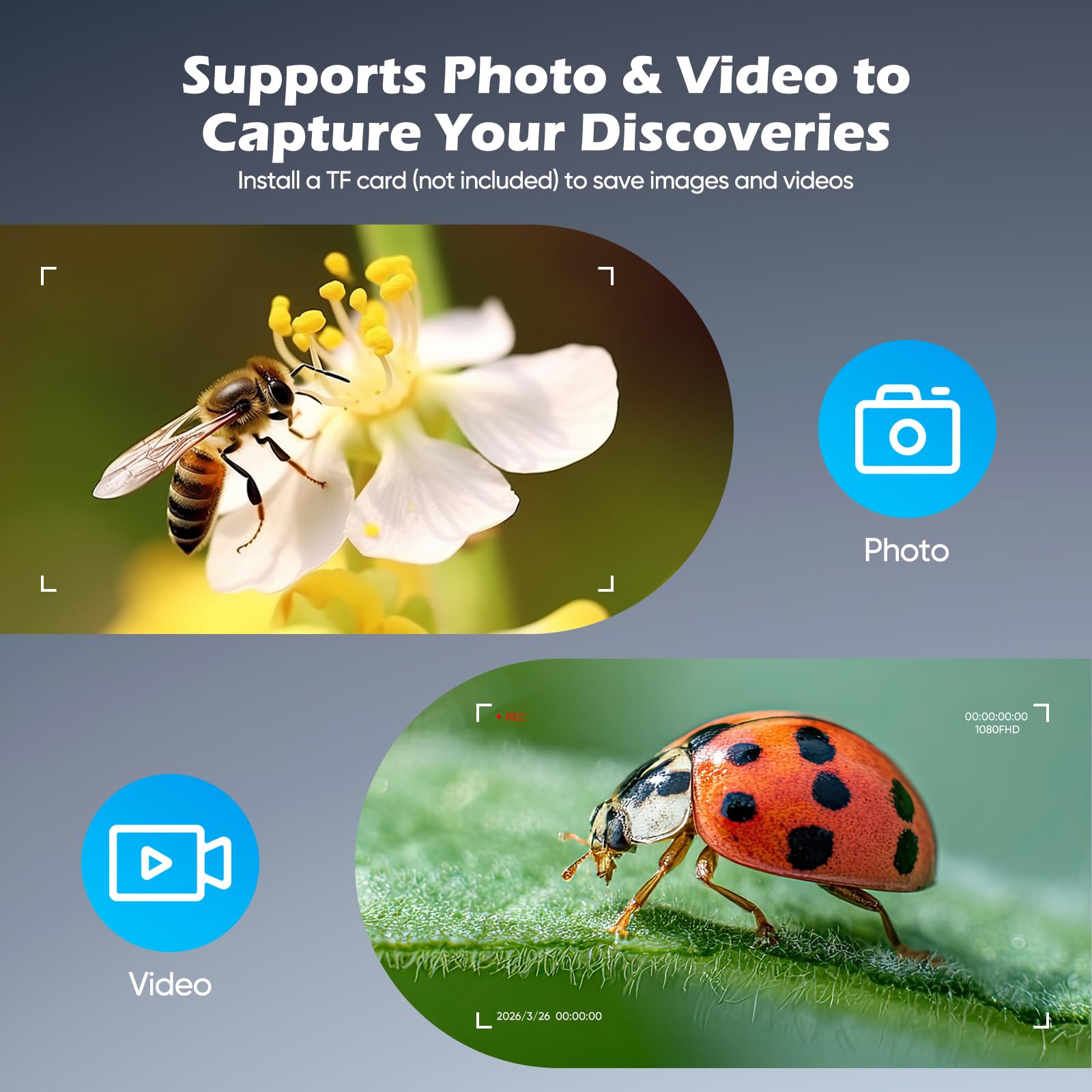 Microscopio Digitale Elettronico Portatile da 7 Pollici 1080P · USB 1200x · Adatto a Tutte le Età · Compatibile con Windows/macOS · per Monete e Kit Biologico