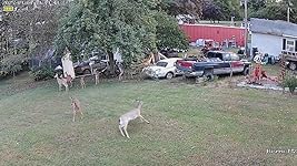 Review Image by Amanda Amanda