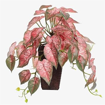 Artificial Rare Plant Simulation Hanging Rattan 3D Printing Fake Flower Window Decoration Garden Party Home Decor Accessories wanglan Color Bilateral A