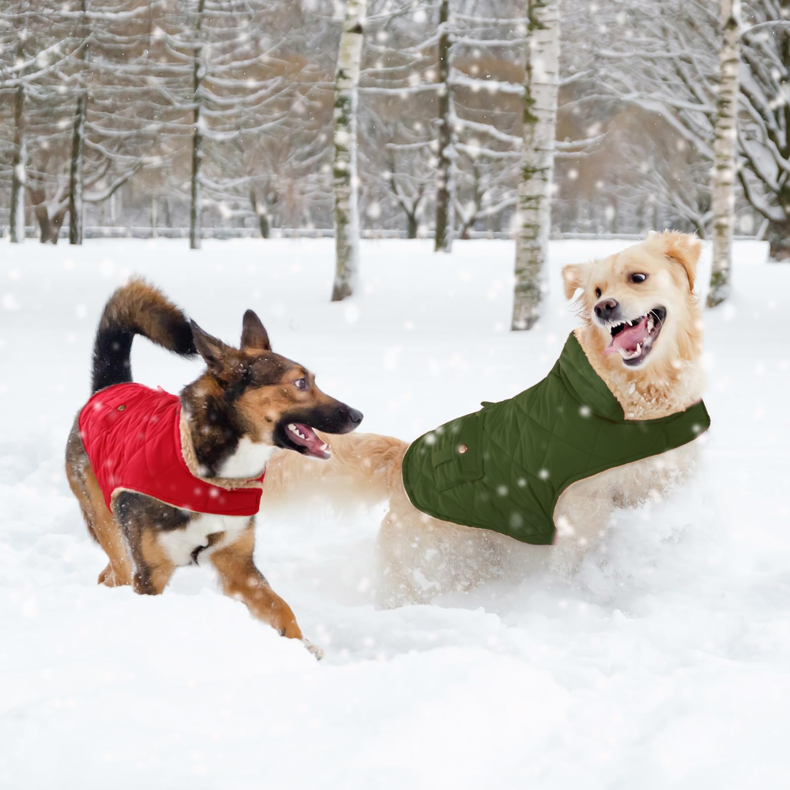 CITÉTOILE Cappotto Invernale per Cani - Gilet Termico con Lana Spessa, Giacca Antivento per Chihuahua e Razze Piccole/Medie/Grandi, Foro con Corda di Trazione, Verde, S