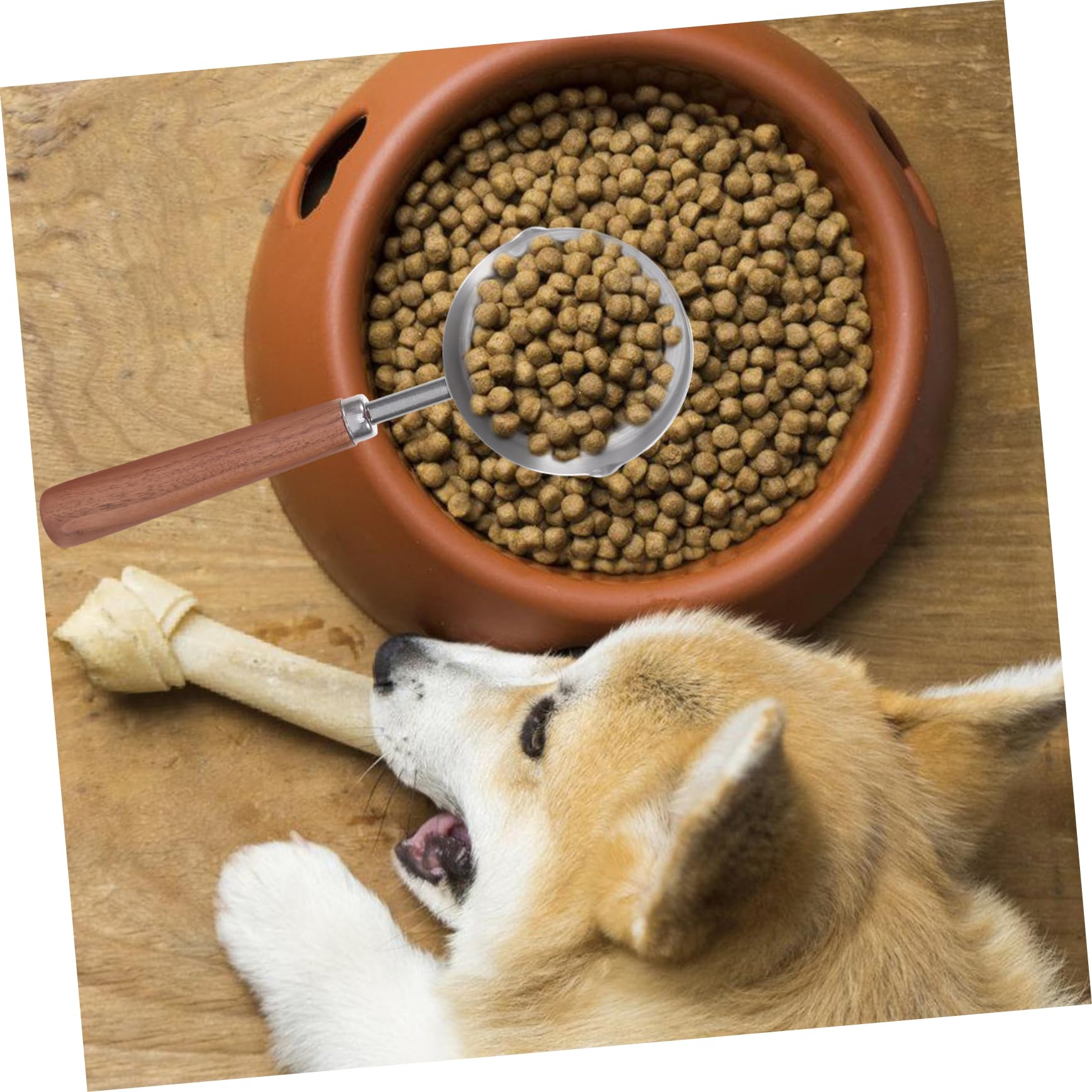 Sosoport 5stücke Hundezubehör Edelstahl Futtermaß Mit Holzgriff Präzise Messbecher Für Hundefutter Und Katzenfutter Langlebig Und Wiederverwendbar Für Große Behälter