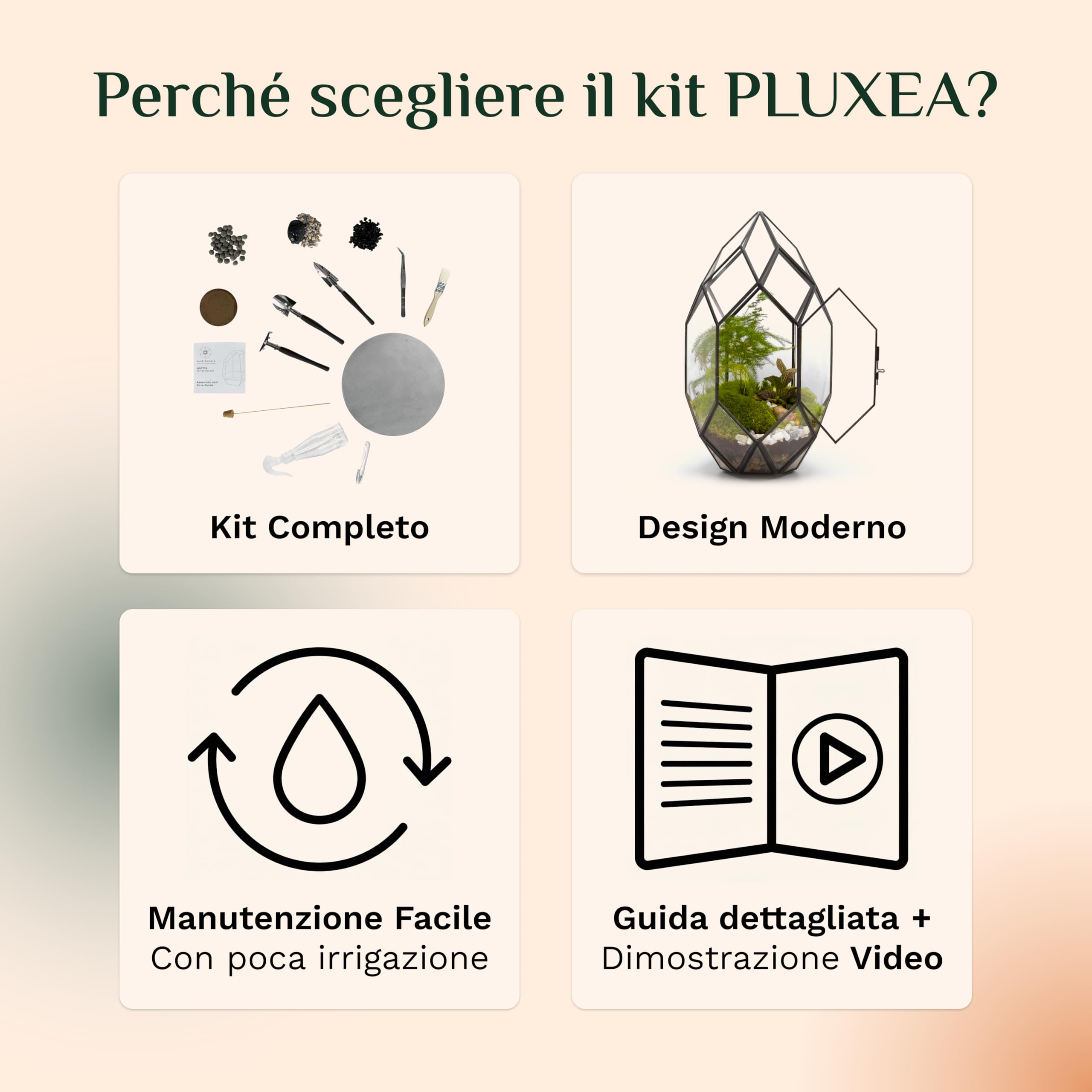 PLUXEA - Kit Terrario Completo Fai da Te in Vetro con Disegno Geometrico per Piante con Substrato e 10 Strumenti Inclusi - Ecosistema Autonomo, Scatola Creativa (Senza Piante)