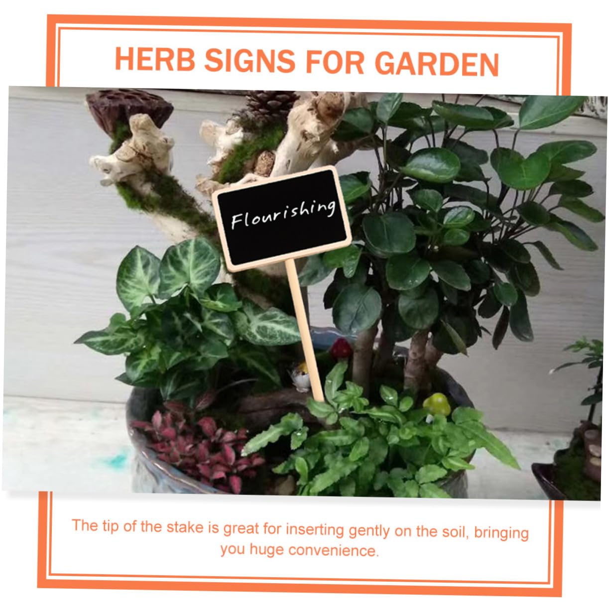 BESPORTBLE 3 Set Di Etichette Per Piante Grasse Da Giardino Picchetti in Legno Per Piante Facili Da Scrivere Identificazione Per Giardinieri 20 Pezzi*3