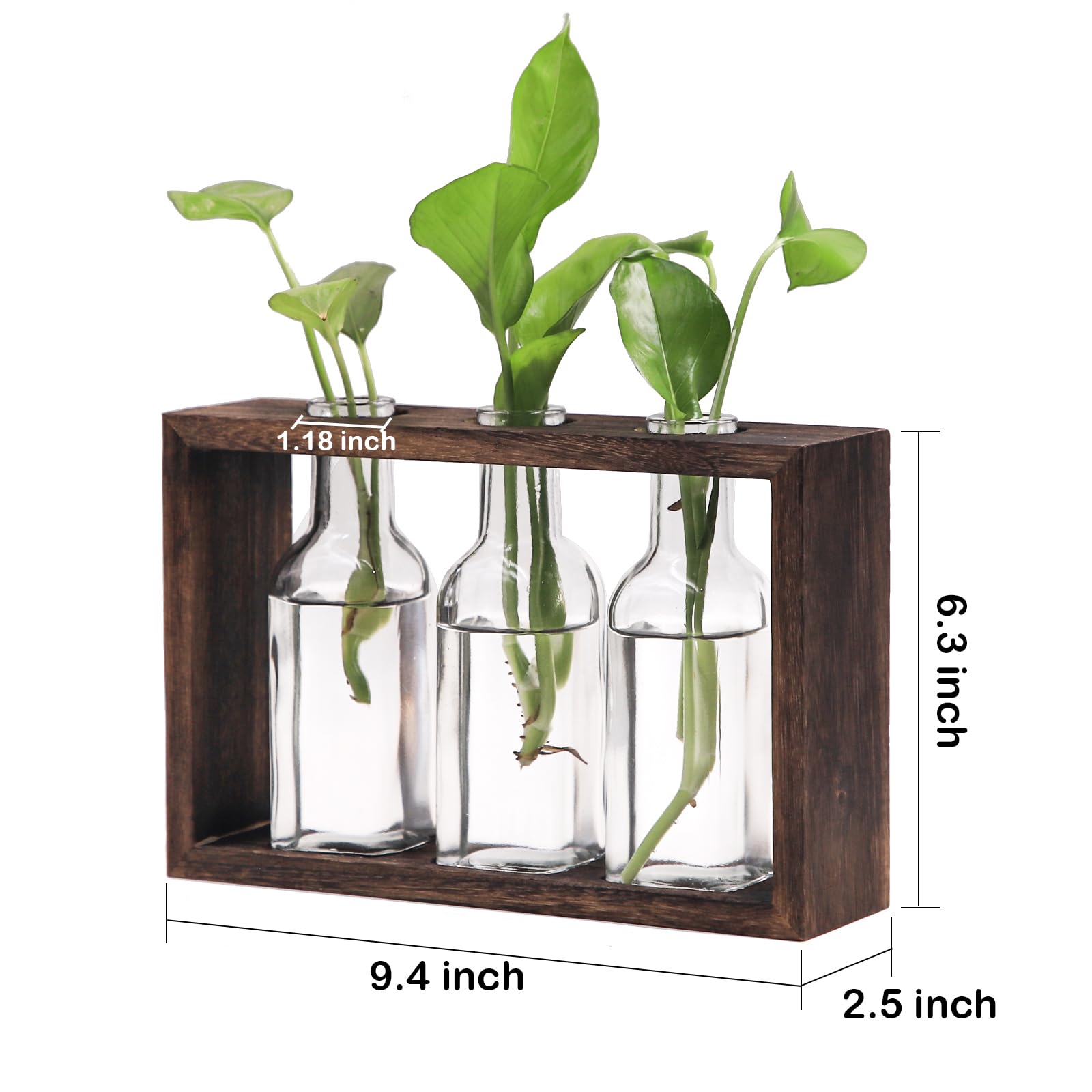 Kingbuy Stazione di propagazione delle piante, terrario con supporto girevole in legno, fioriera da tavolo in vetro per piante acquatiche da interni, decorazione da tavolo per casa e ufficio, 1 vaso