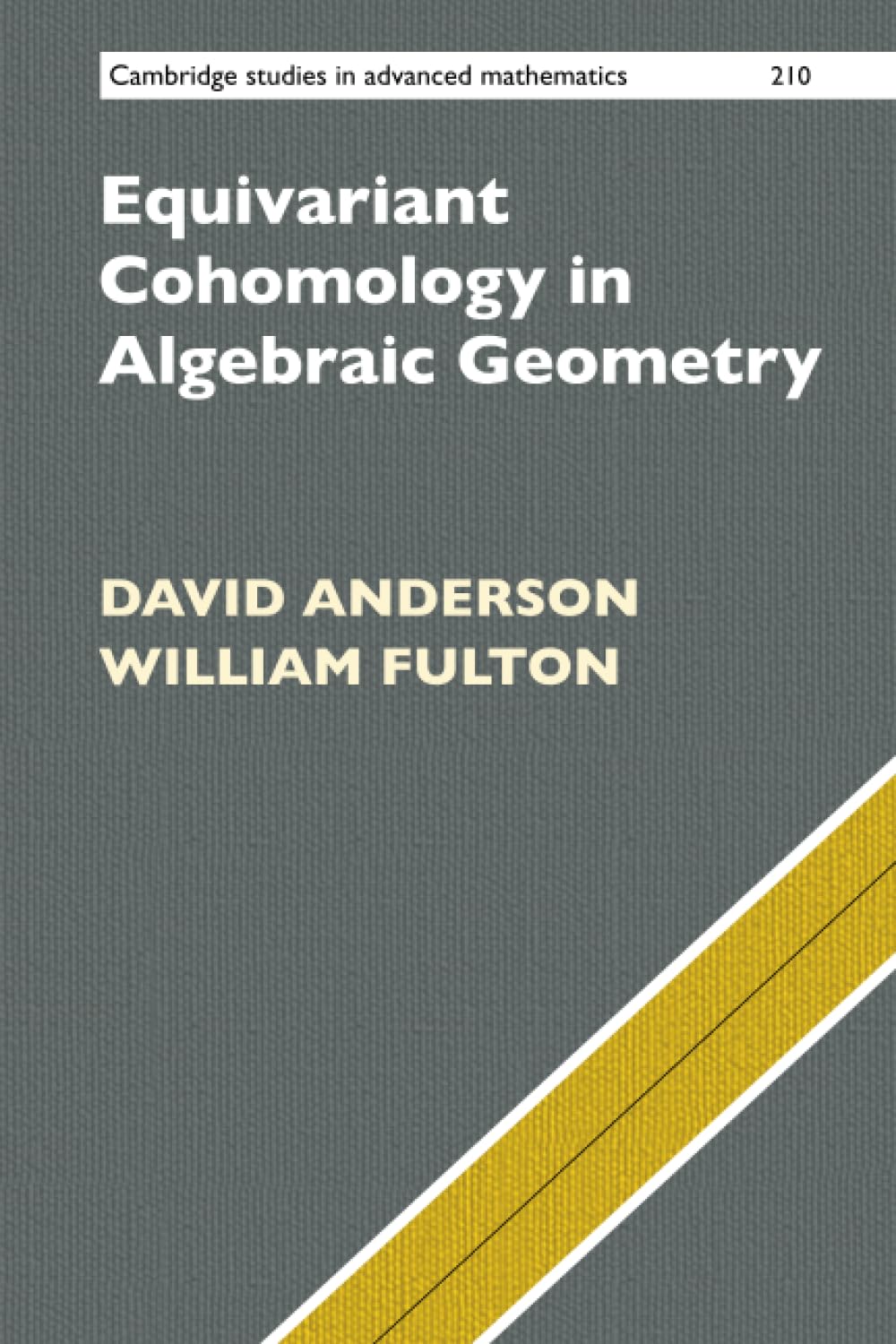 Equivariant Cohomology in Algebraic Geometry: 210 (Cambridge Studies in Advanced Mathematics, Series Number 210)