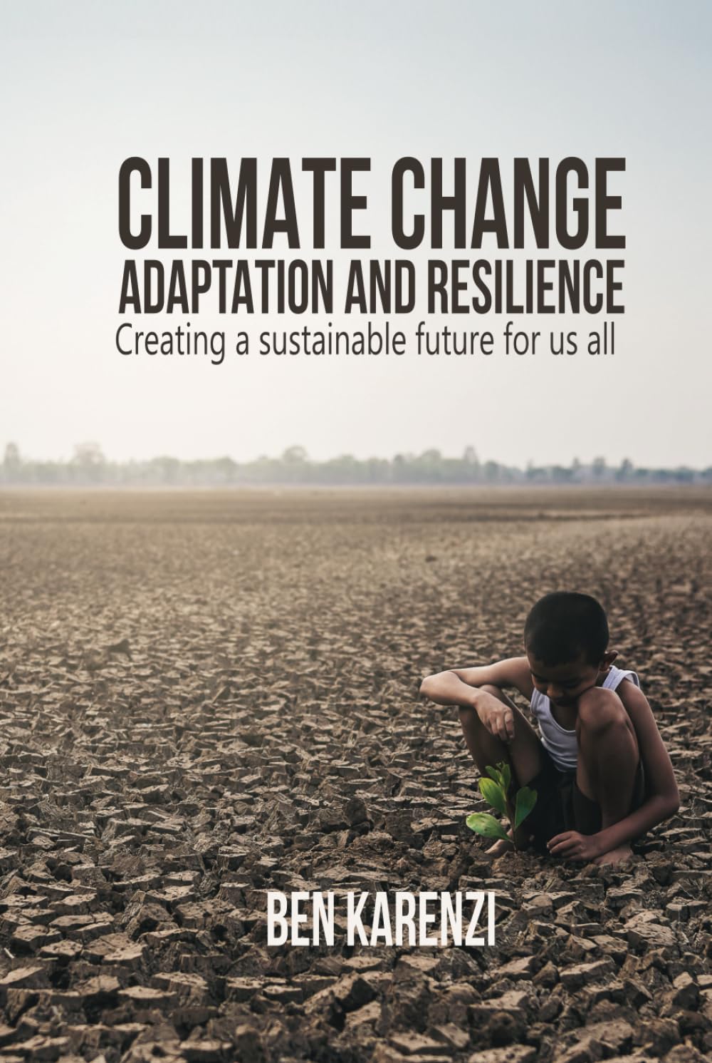 Climate Change Adaptation and Resilience: Creating a Sustainable Future for Us All (Saving the Planet in a Digital Generation)