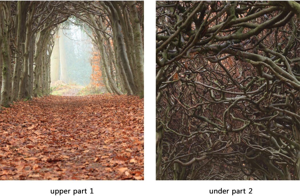 Door Wall Sticker Tunnel of Trees - Self Adhesive Peel & Stick Repositionable Fabric Mural 31" w x 79" h (80 x 200cm)