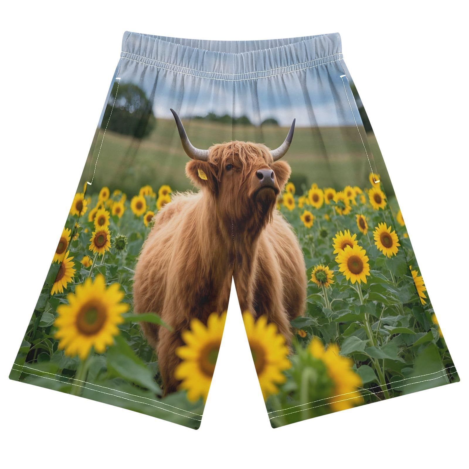 ALAZA Highland Cattle Sunflower Field Boys Athletic Shorts Kids with Pockets Shorts for boy Girl Size 6-8 Years Multicolor