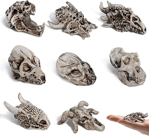 Bbiamsleep 8 Pcs 2.3 Inch Animal Skulls Figurine Resin Mini Skulls Dinosaur Alien Animal Skulls Decor Ornament Mini Skull Heads for DIY Projects