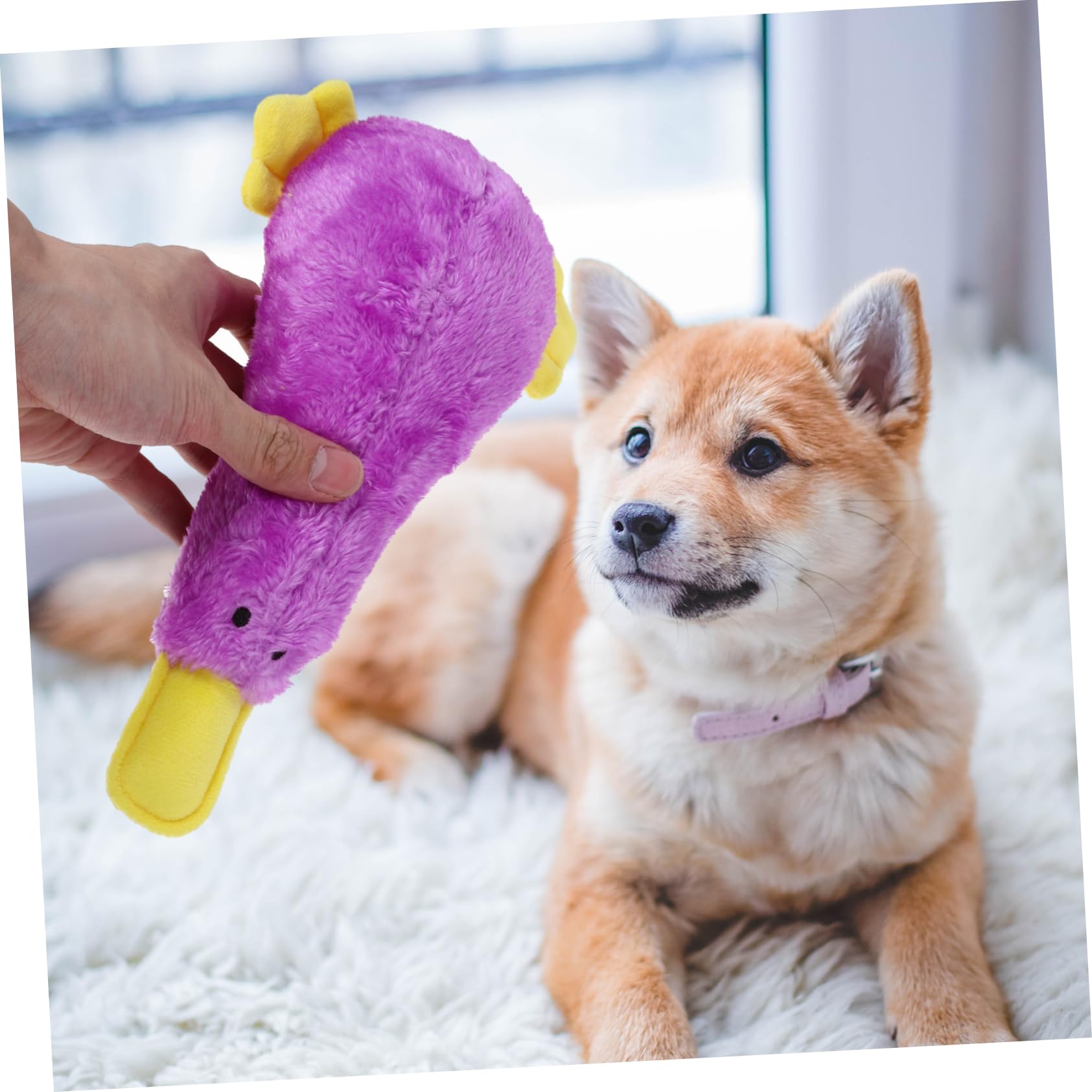 TOYANDONA Jouet Chien Peluche Qui Couine Jouet à Mâcher pour Chiot et Animal de Compagnie Doux et Amusant
