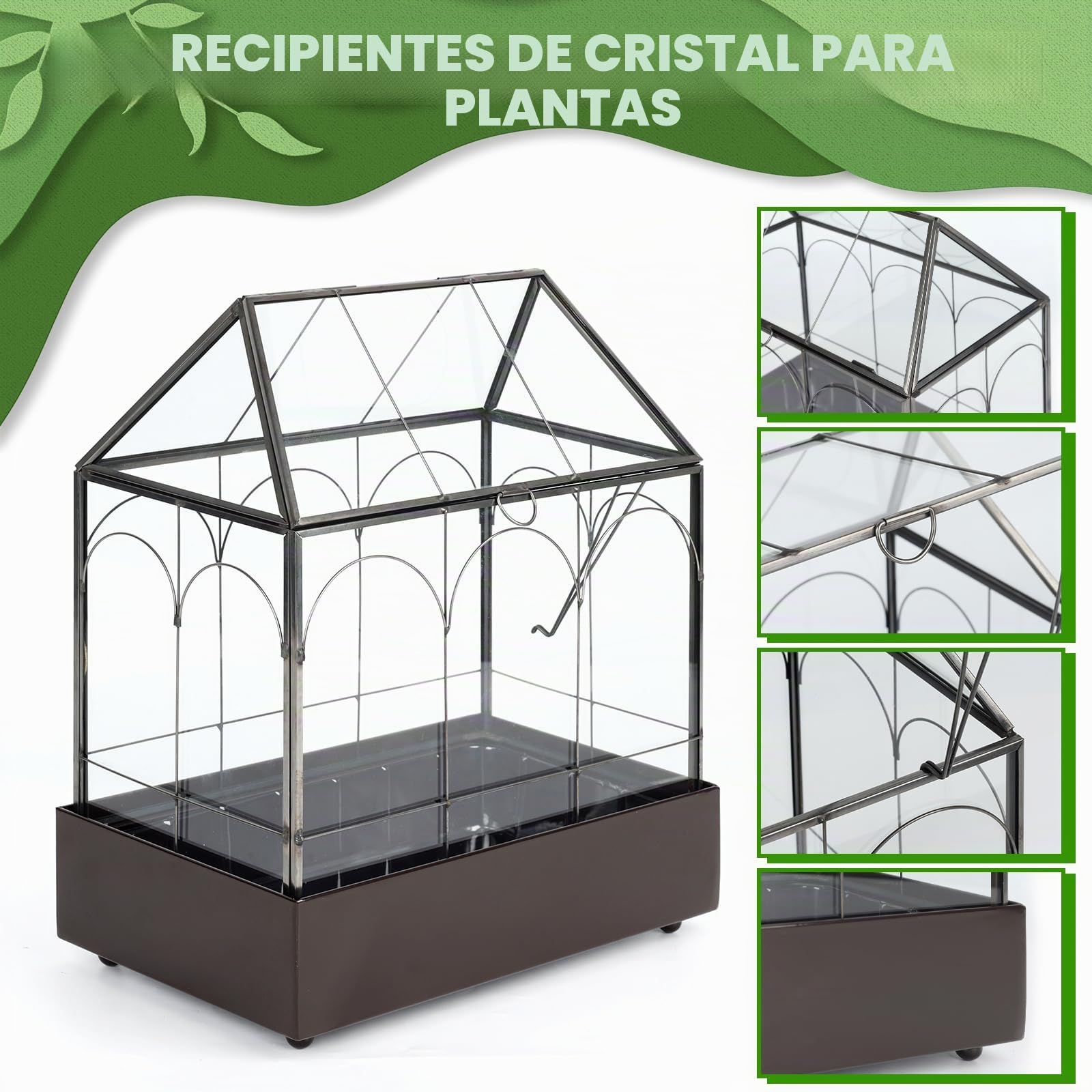 Terrario para plantas, 24,2 x 14,7 x 29 cm, cristal geométrico con bandeja recogedora, microcaja cerrada para suculentas, helecho (sin plantas)