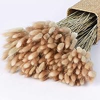 120pcs 17" Brown Bunny Tails Dried Grass - Natural Rabbit Tail Flowers for Boho Weddings, Baby Showers & Home Decor