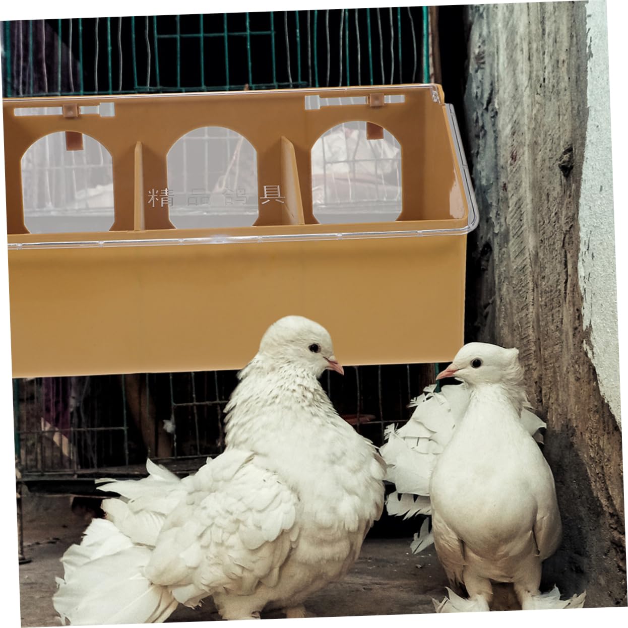 BESPORTBLE 2piezas Comedero De Plástico Dispensador De Comida Colgante para Aves Comedero para Jaulas Adecuado para Mascotas y Cacatúas