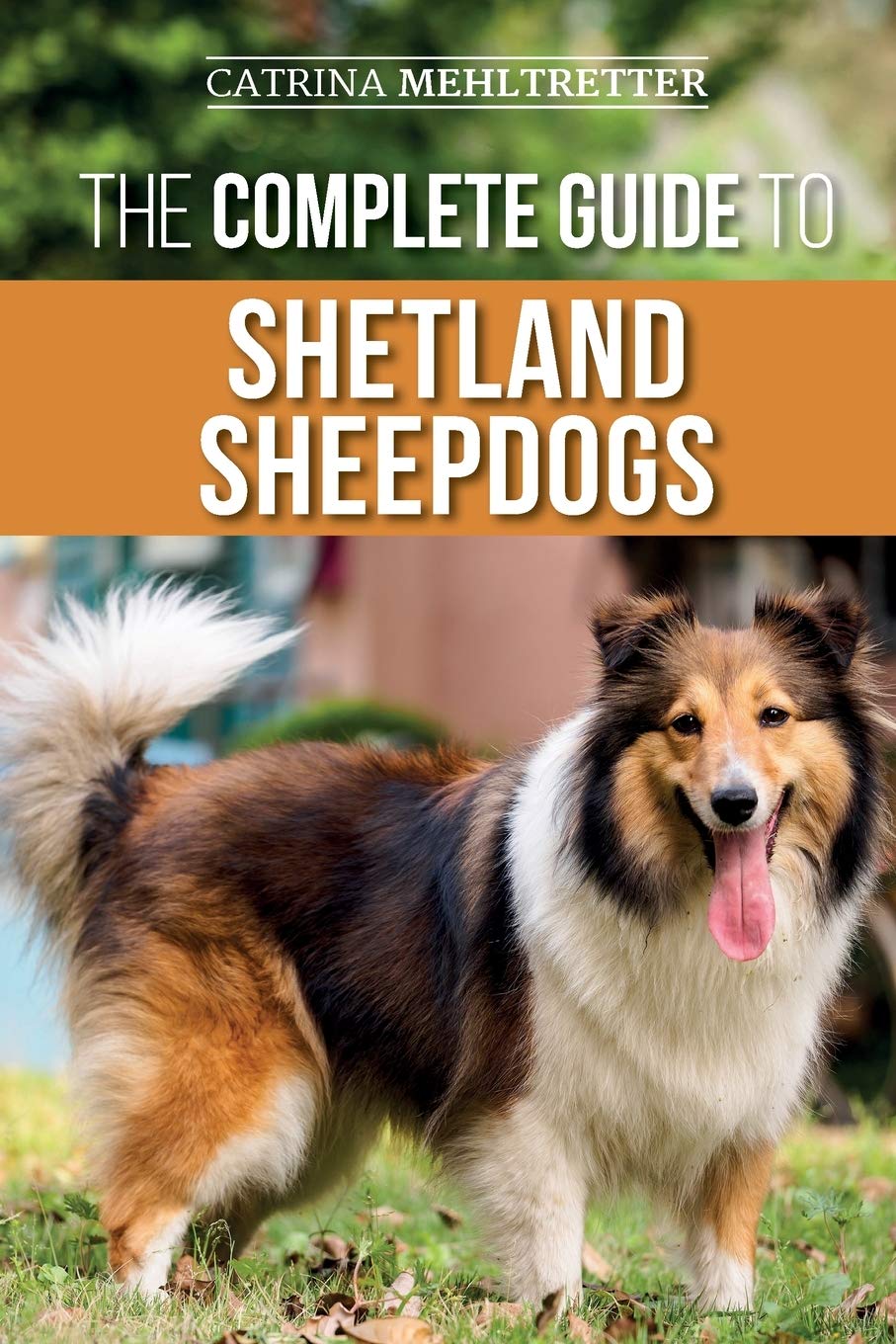 The Complete Guide to Shetland Sheepdogs: Finding, Raising, Training, Feeding, Working, and Loving Your New Sheltie      Paperback – February 2, 2021