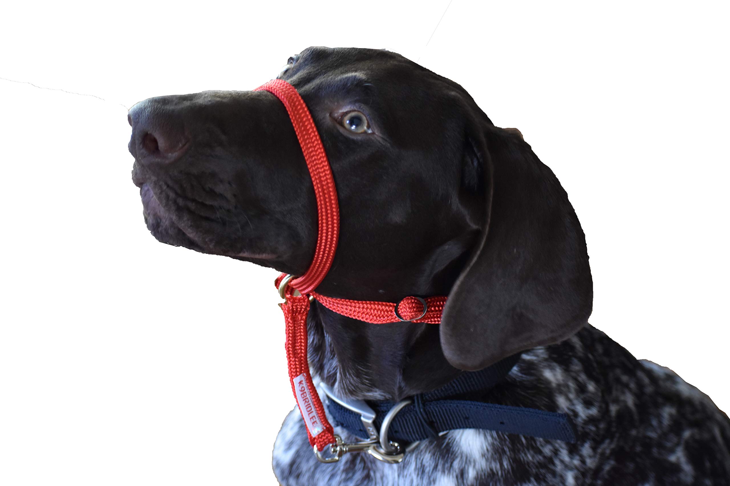 K9 Bridle - to stop your dog pulling (Medium, Red)