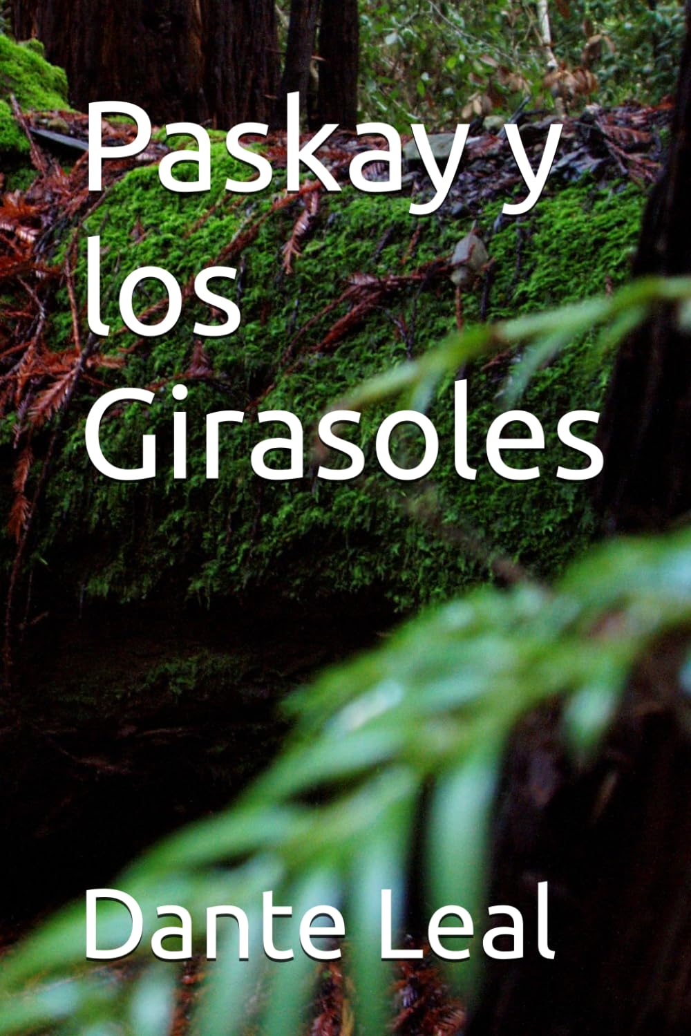 Paskay y los Girasoles