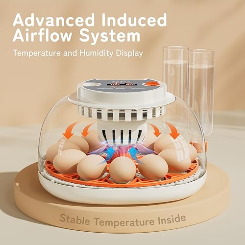 Miniatura 2 de Apdoe Incubadora de 12 huevos, incubadoras para incubar huevos, girador automático de huevos con control de temperatura, vela de huevos, reposición
